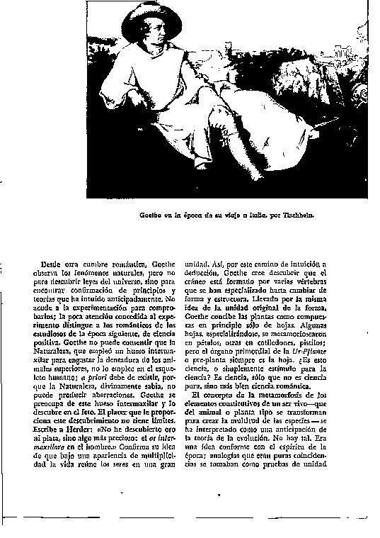 LAMINA 28271: Goethe en Italia, por Tischbein