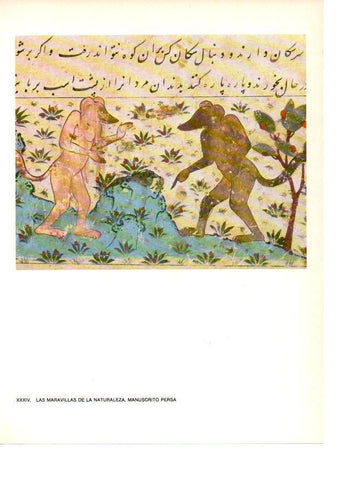 LAMINA 27879: Las maravillas de la naturaleza. Manuscrito persa