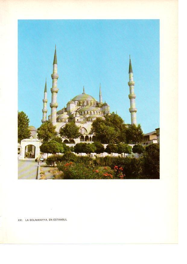 LAMINA 27866: La Solimaniyya, Estambul
