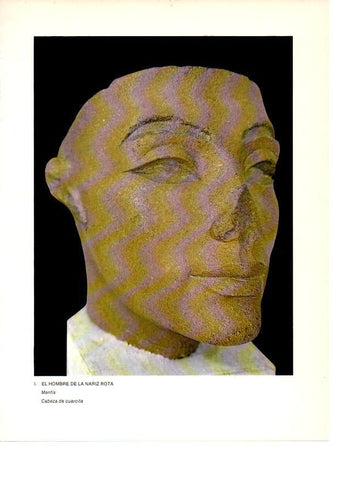 LAMINA 27903: El hombre de la nariz rota, de Menfis, Egipto