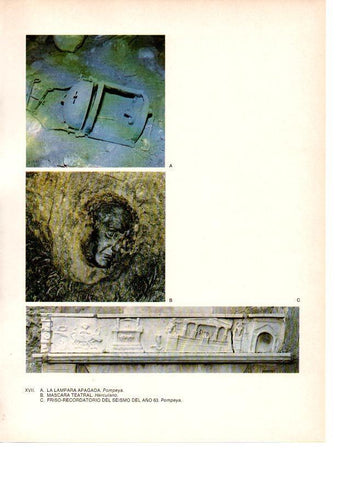 LAMINA 27806: Decoraciones de Pompeya