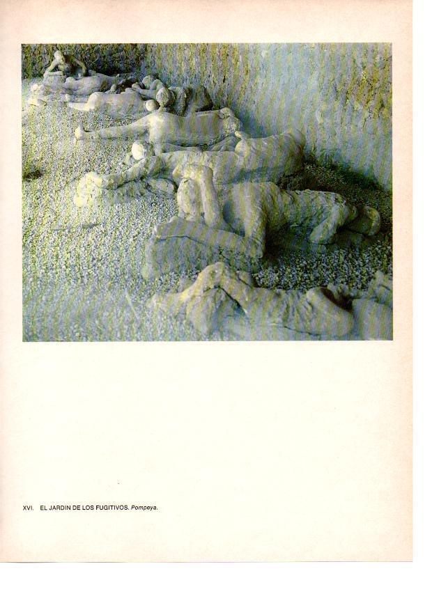 LAMINA 27805: Pompeya. El jardin de los fugitivos