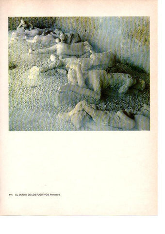 LAMINA 27805: Pompeya. El jardin de los fugitivos