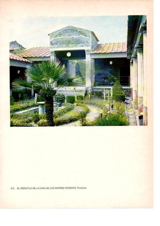 LAMINA 27803: Casa de los amores dorados, Pompeya