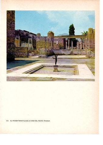 LAMINA 27802: Peristilo de la Casa de Fauno, Pompeya