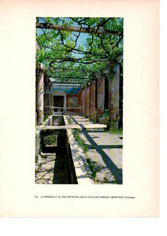 LAMINA 27801: Villa de Loreius Tiburtinus, Pompeya
