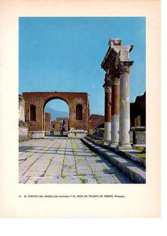 LAMINA 27795: Portico del Macellum y Arco del Triunfo, Pompeya