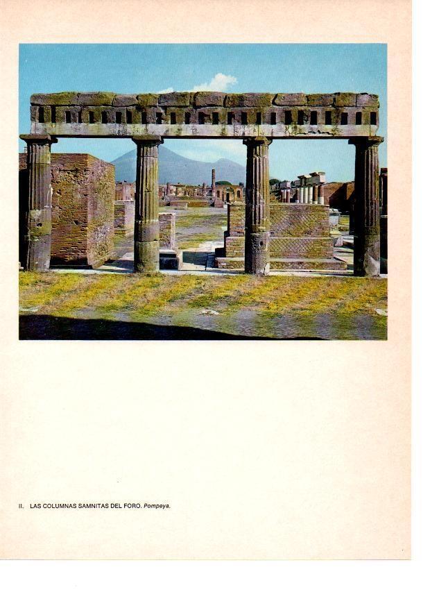LAMINA 27791: Columnas del foro de Pompeya
