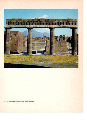LAMINA 27791: Columnas del foro de Pompeya