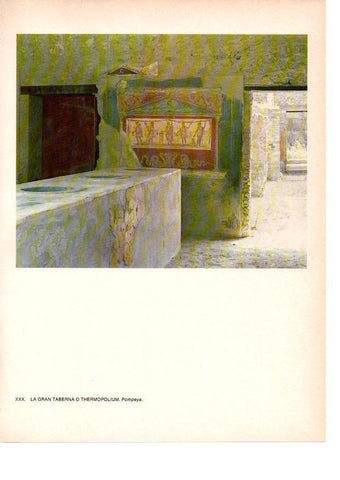 LAMINA 27819: La Gran Taberna de Pompeya