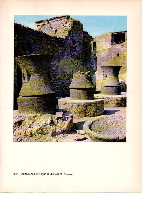 LAMINA 27820: Muelas de la Casa del Panadero, Pompeya
