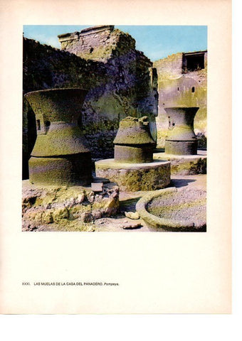 LAMINA 27820: Muelas de la Casa del Panadero, Pompeya