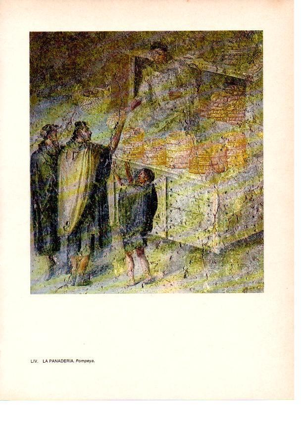 LAMINA 27843: La panaderia. Pompeya