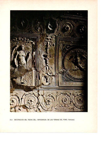 LAMINA 27831: Techo del Tepidarium de Pompeya