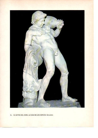 LAMINA 27829: El satiro del odre, Pompeya