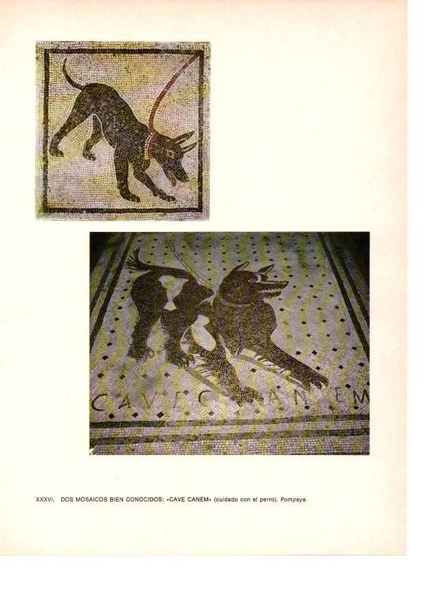 LAMINA 27825: Mosaicos Cave Canem. Pompeya