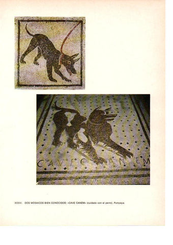 LAMINA 27825: Mosaicos Cave Canem. Pompeya