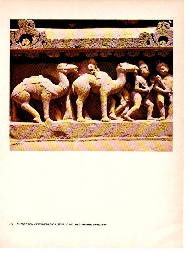LAMINA 28033: Guerreros y dromedarios del templo de Lakshamana, Khajuraho