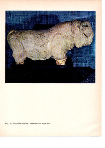 LAMINA 28032: El Toro, Mohenjo-Daro, India