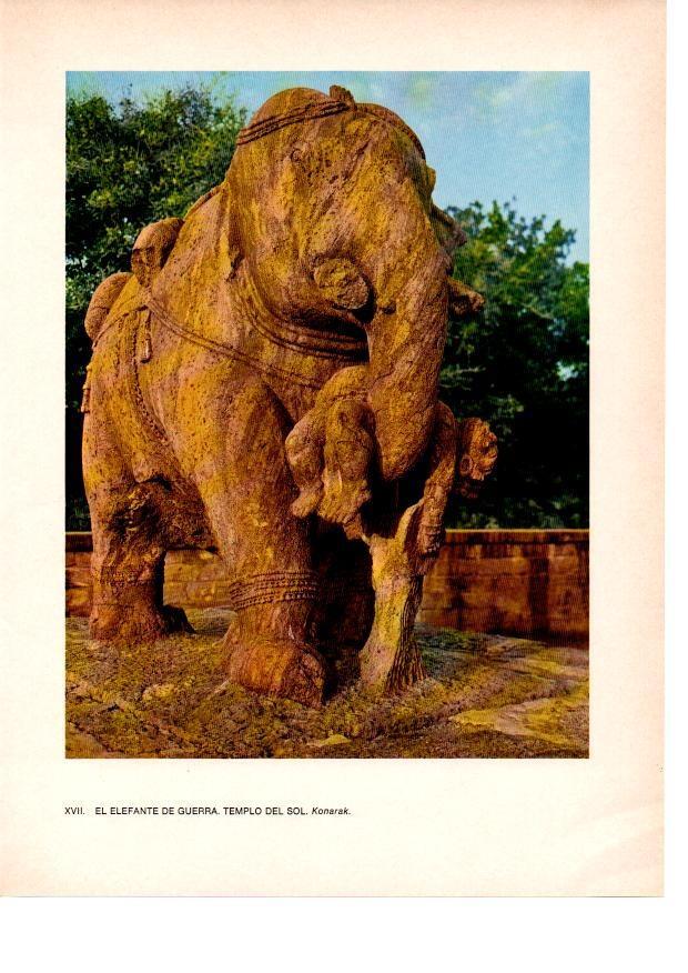 LAMINA 28031: El elefante de guerra, templo del Sol, Konarak