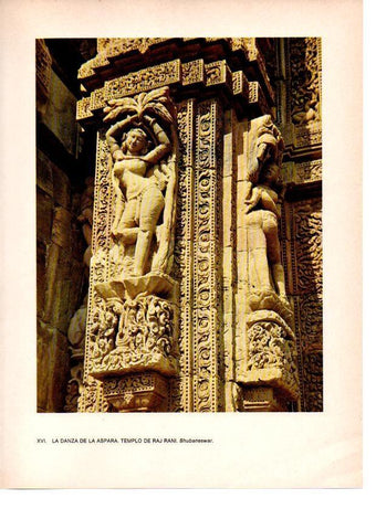 LAMINA 28030: Danza de la Aspada en el Templo de Raj Rani, Bhubaneswar