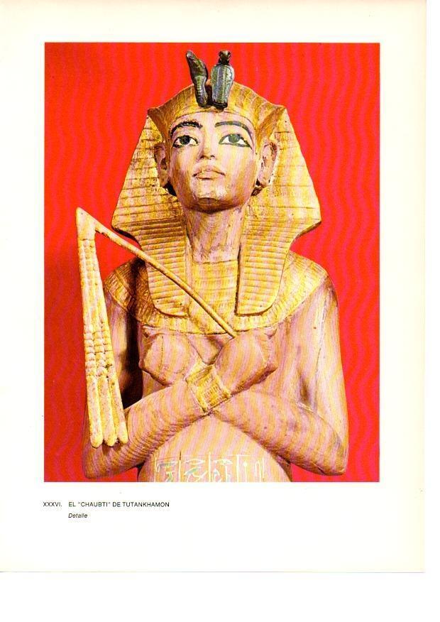 LAMINA 27938: Detalle del Chaubti de Tutankhamon