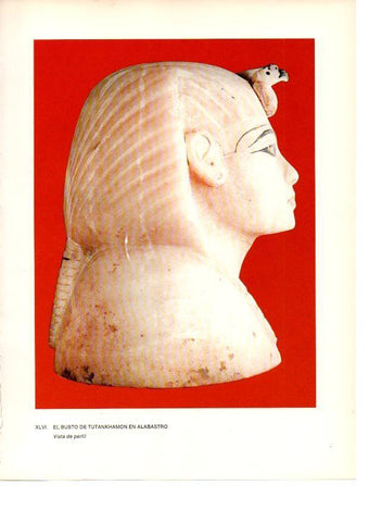 LAMINA 27948: Busto de Tutankhamon en alabastro