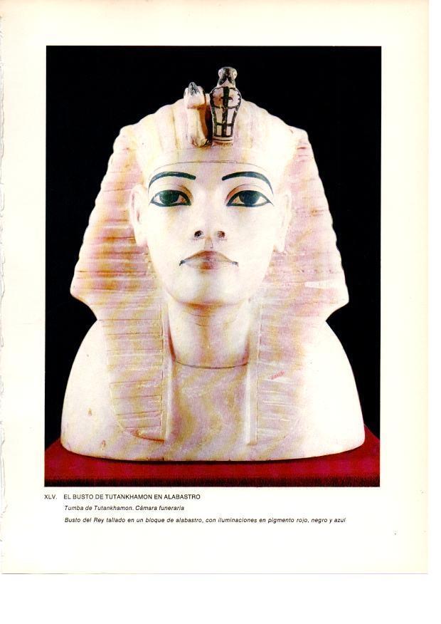 LAMINA 27947: Cabeza de alabastro de Tutankhamon