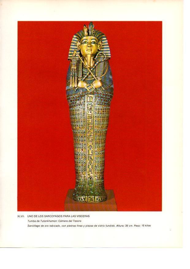 LAMINA 27949: Sarcofago para visceras de la tumba de Tutankhamon