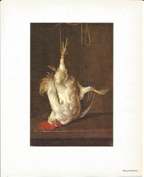 LAMINA V02125: Gallo muerto por G. Metsu