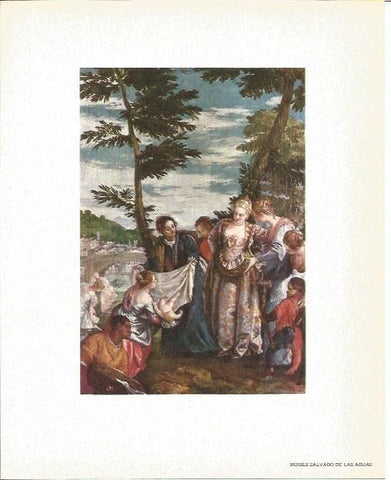 LAMINA V02104: Moises salvado de las aguas por Verones