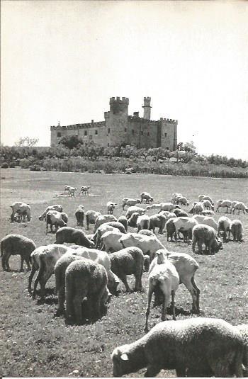 LAMINA V02022: Caceres. Castillo de las Arguijuelas de Arrinbs