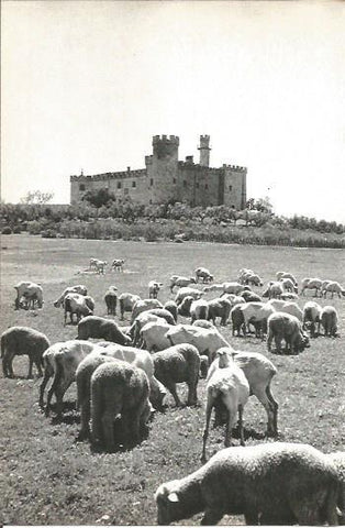 LAMINA V02022: Caceres. Castillo de las Arguijuelas de Arrinbs