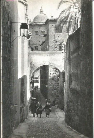 LAMINA V02065: Caceres. Calle tipica