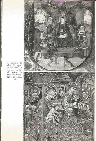 LAMINA V02081: Caceres. Miniatura de un cantoral del Monasterio de Guadalupe