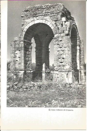 LAMINA V02028: Caceres. Arco romano en Caparra