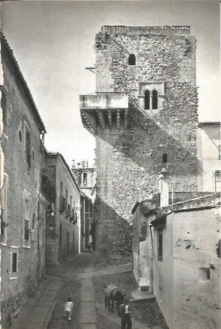 LAMINA V02033: Caceres. Torre de Espaderos