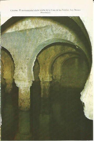 LAMINA V02035: Caceres. Aljibe arabe de la Casa de las Veletas