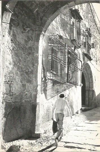LAMINA V02036: Caceres. Fachada del Palacio de los Chaves en Trujillo