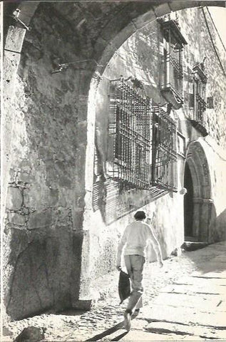 LAMINA V02036: Caceres. Fachada del Palacio de los Chaves en Trujillo