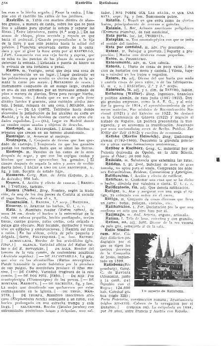 LAMINA 28898: Vista de Ratisbona, Alemania
