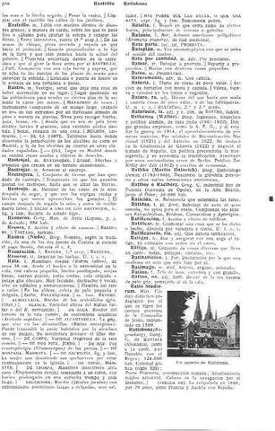 LAMINA 28898: Vista de Ratisbona, Alemania