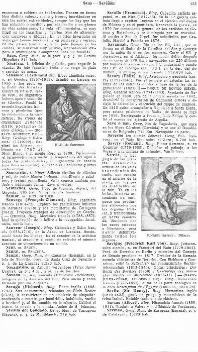 LAMINA 28997: Dibujo, por R. Savery y H. B. de Saussure