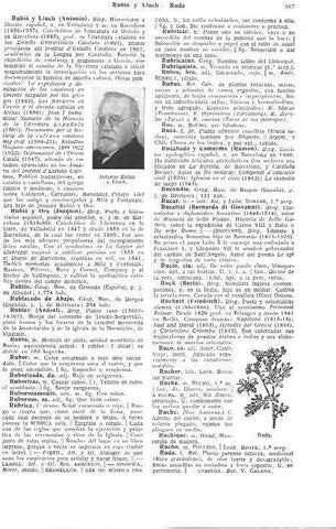 LAMINA 28953: Antonbio Rubio Llunch y ruda