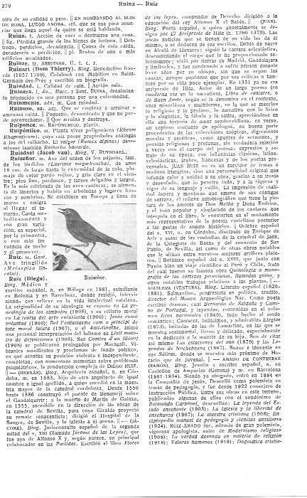 LAMINA 28954: Ruiseñor