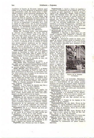 LAMINA 28768: Organo de la Catedral de Mexico
