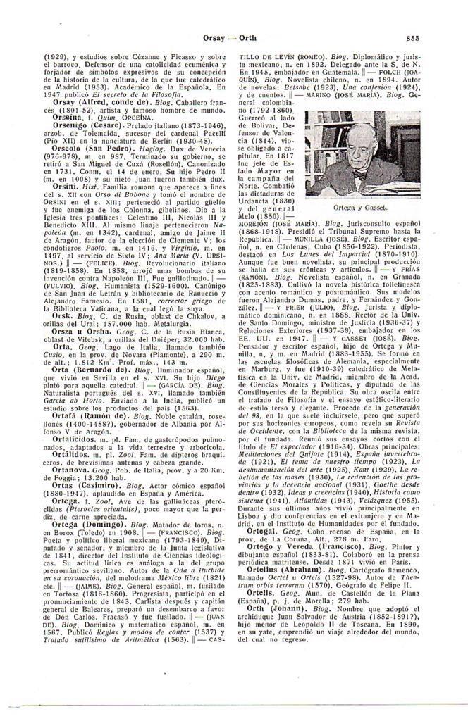 LAMINA 28772: Ortega y Gasset