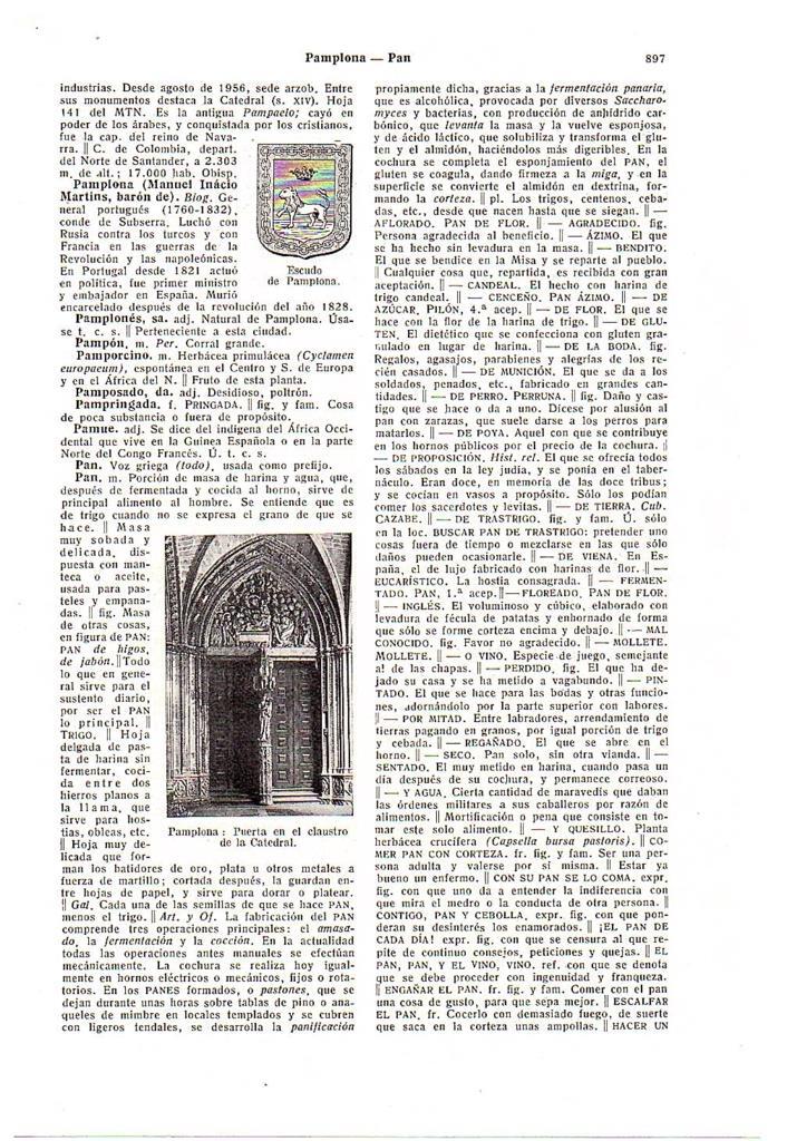 LAMINA 28777: Escudo y puerta del claustro de la catedral de Pamplona 