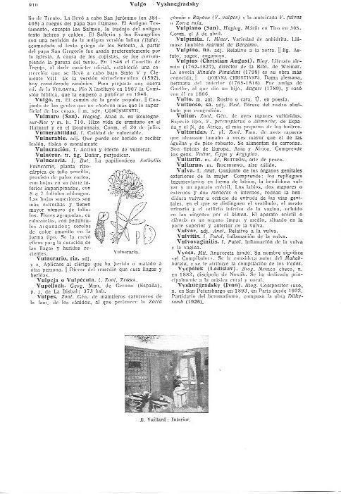 LAMINA 29206: Interior, por E. Vuillard y vulneraria