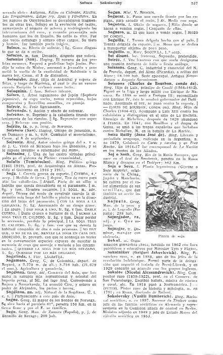 LAMINA 29034: Planta de soja